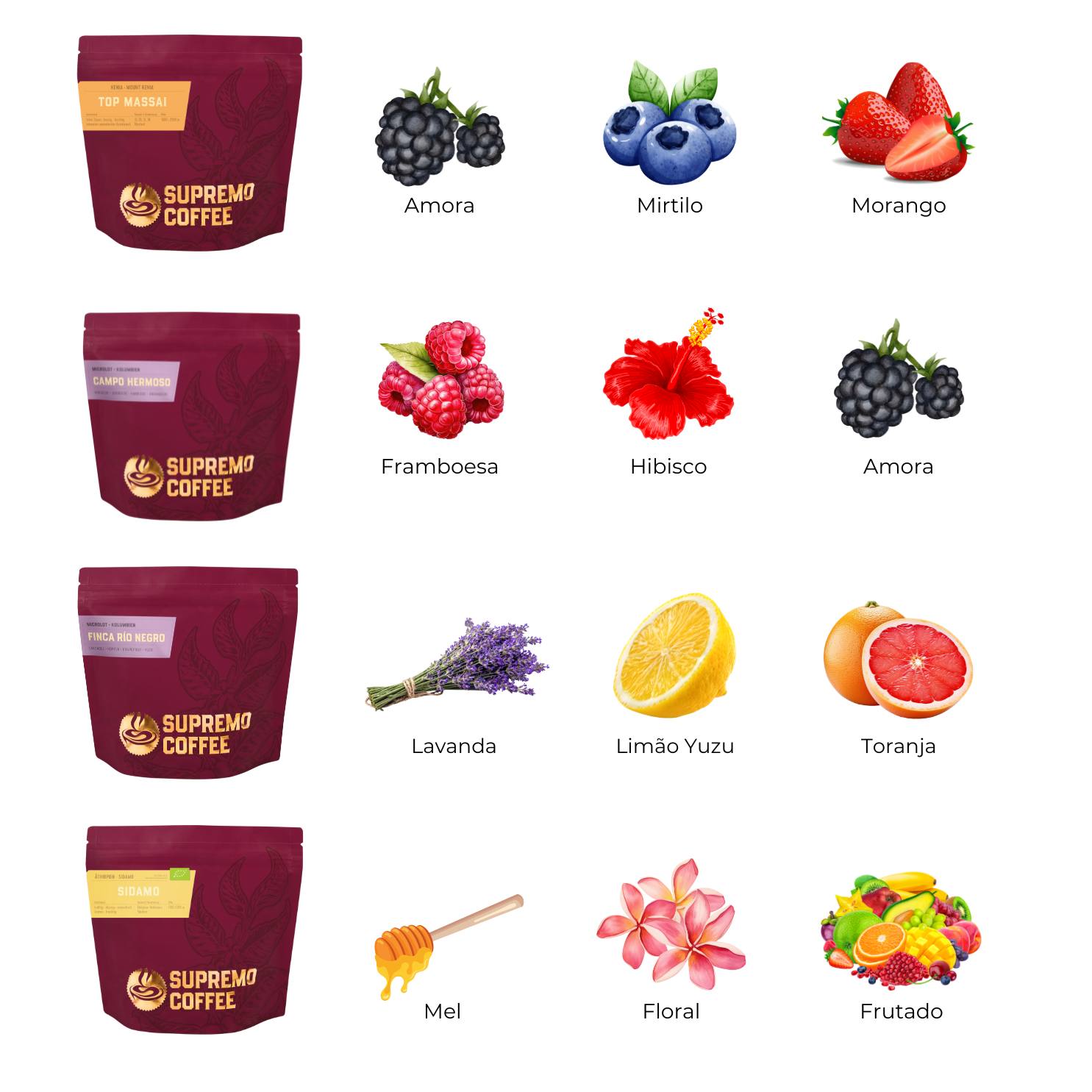 Supremo : Kit Experiência Sensorial Outubro 2025 : 04 Pacotes de 60g : Grãos