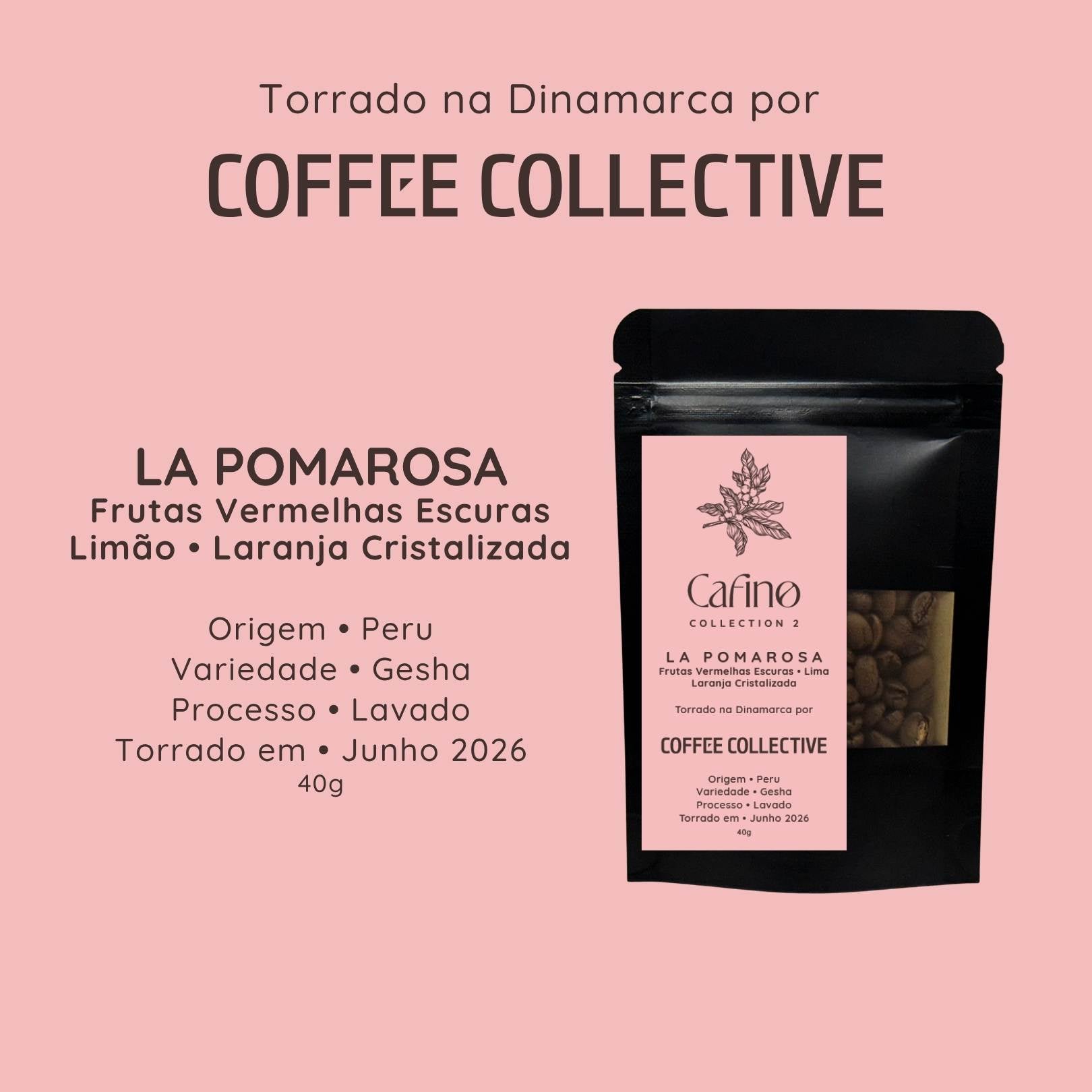 Cafino : Collection 2 : 200g Grãos
