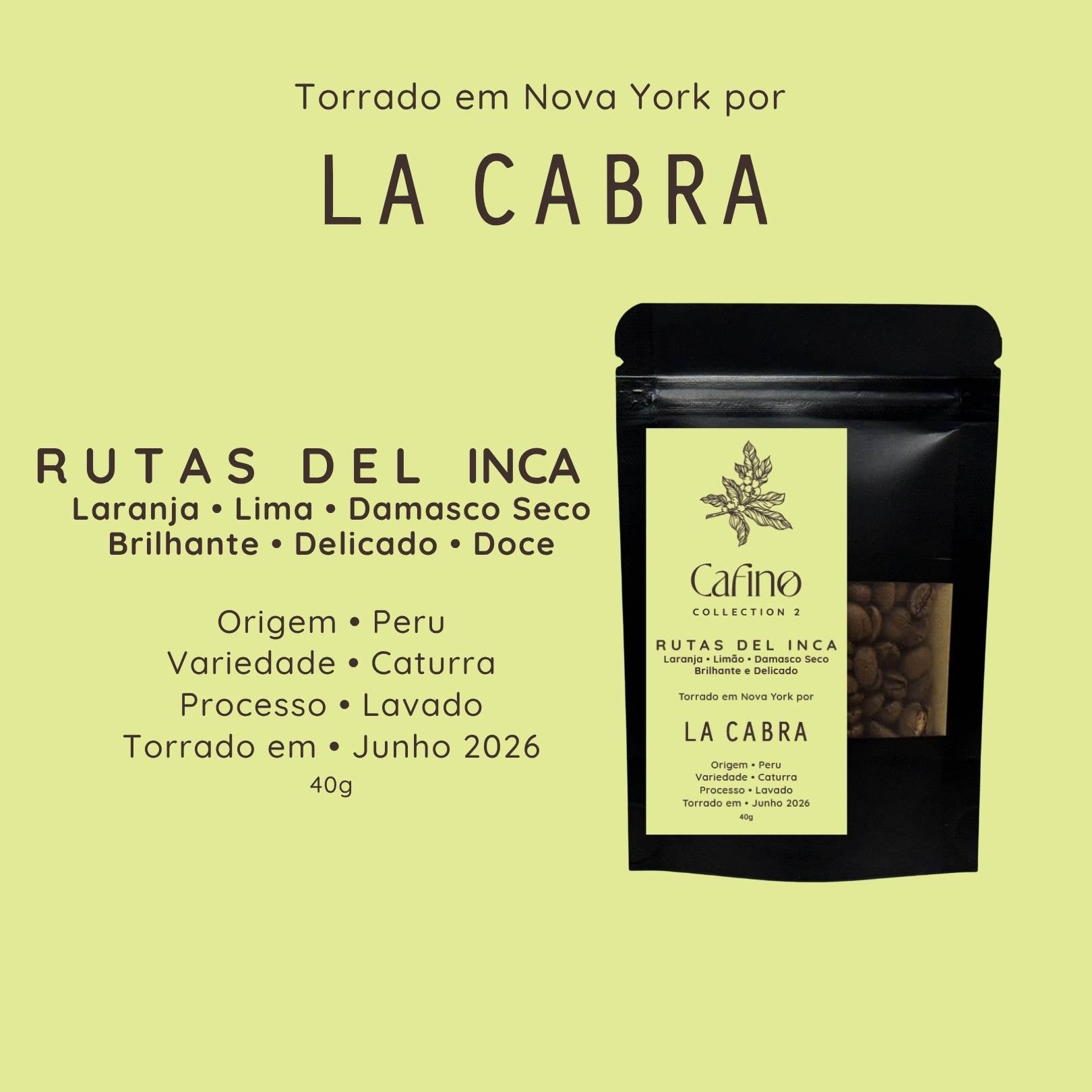 Cafino : Collection 2 : 200g Grãos