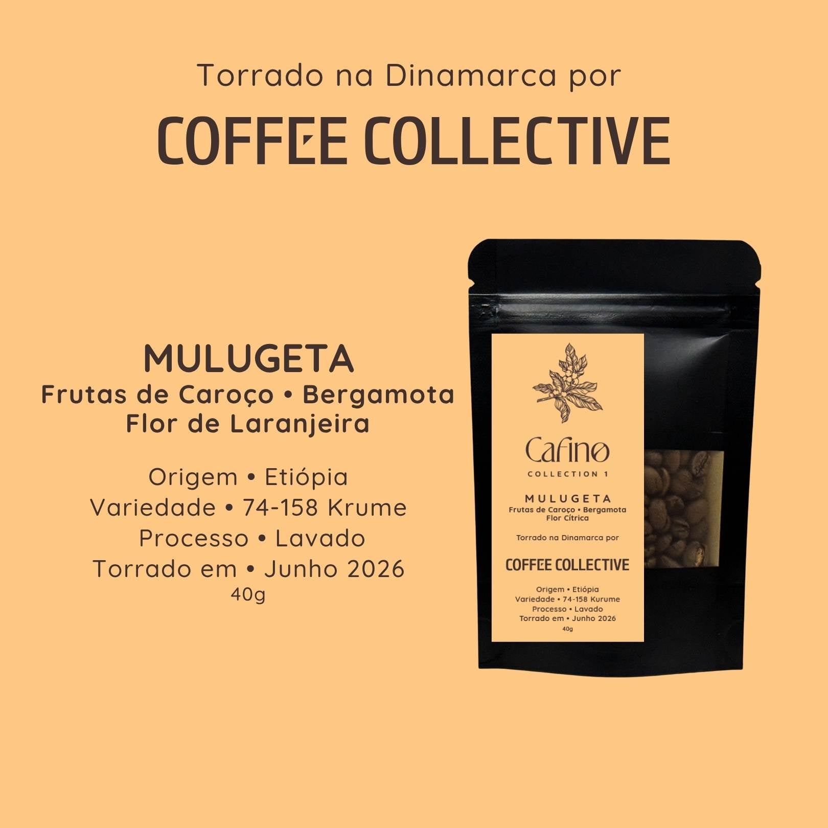 Cafino : Collection 1 : 200g Grãos