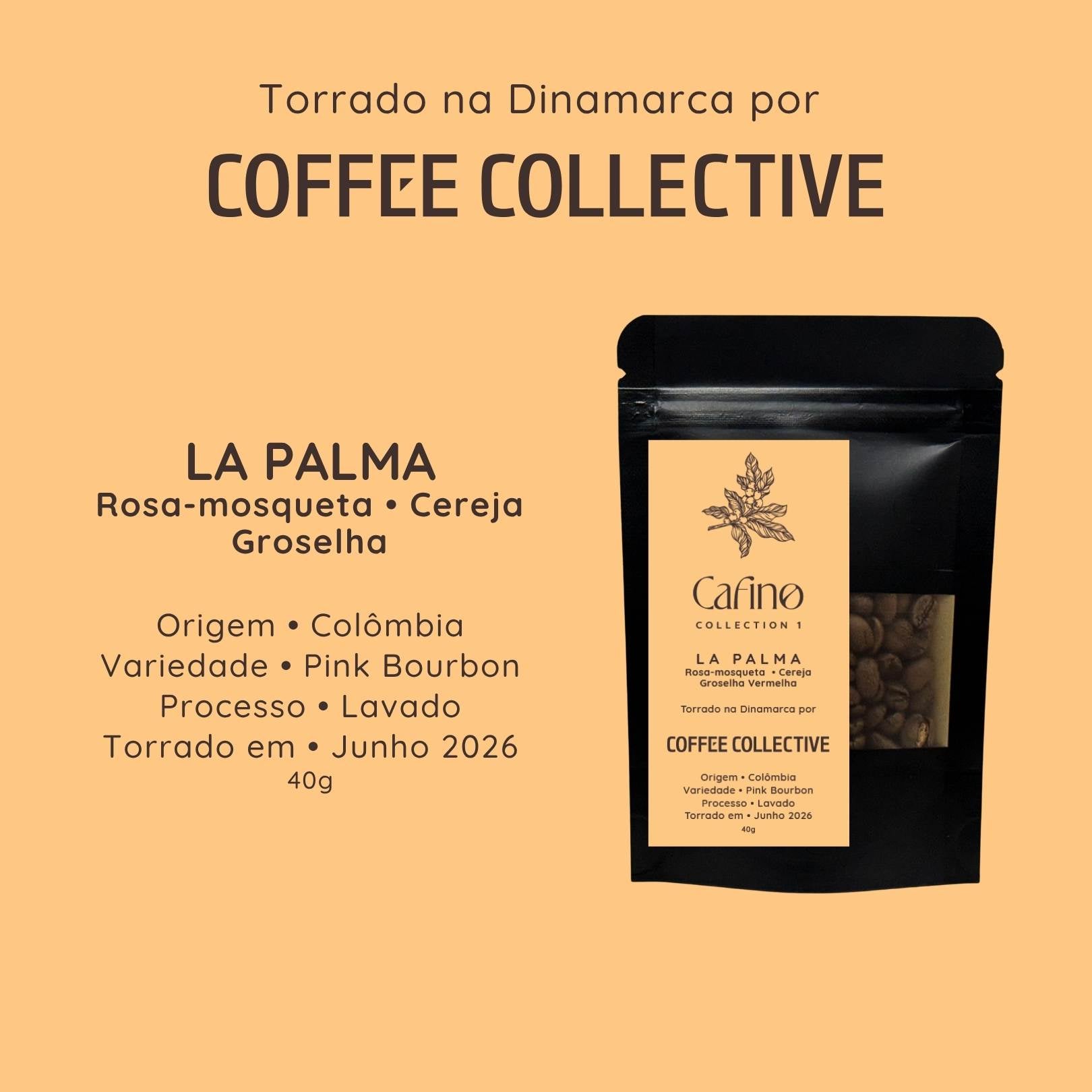 Cafino : Collection 1 : 200g Grãos