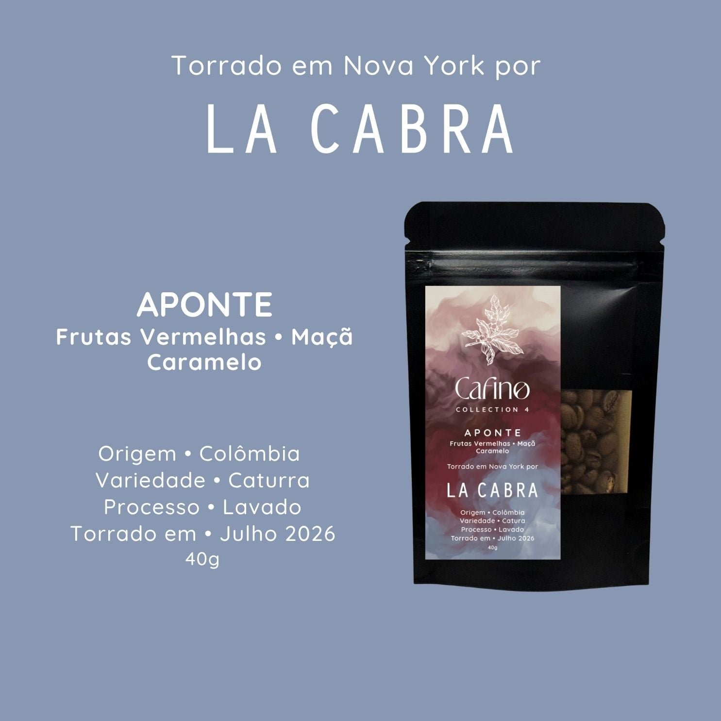 Cafino : Collection 4 : 200g Grãos