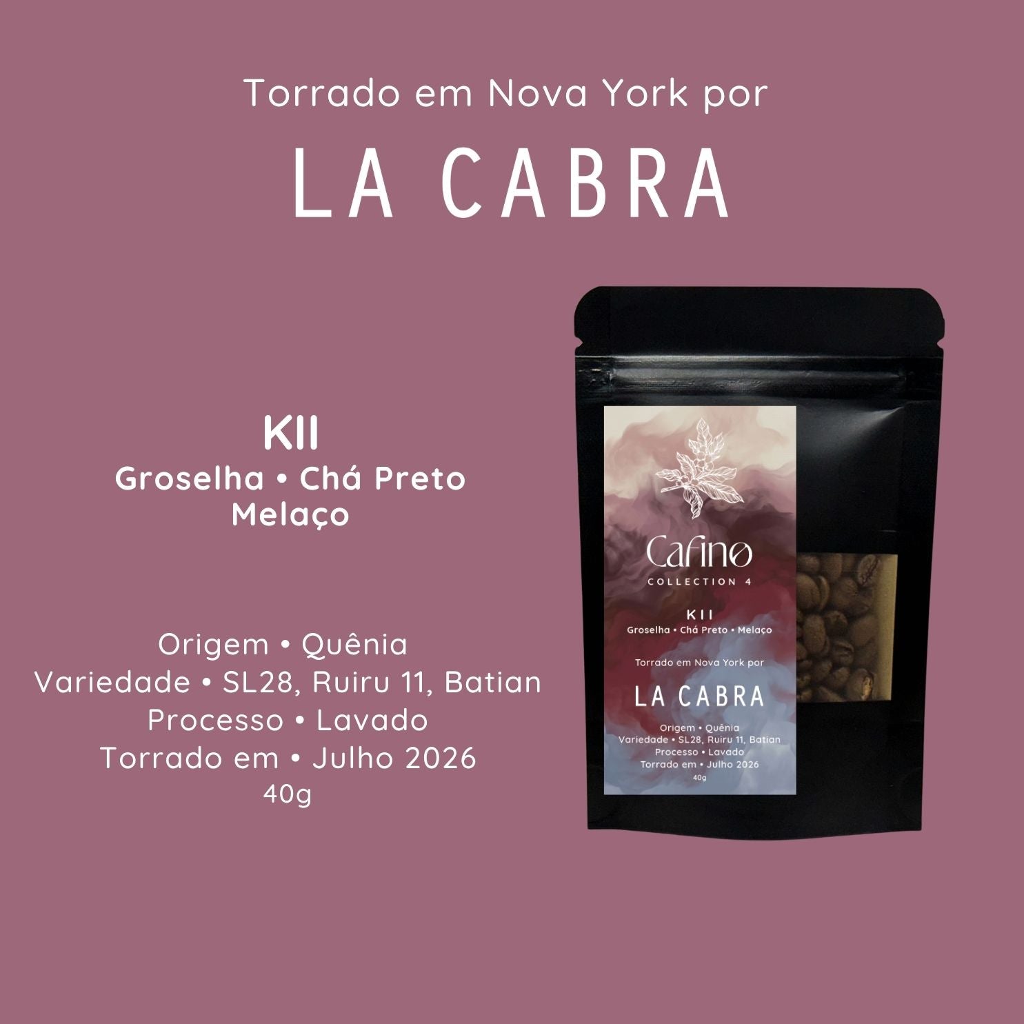 Cafino : Collection 4 : 200g Grãos