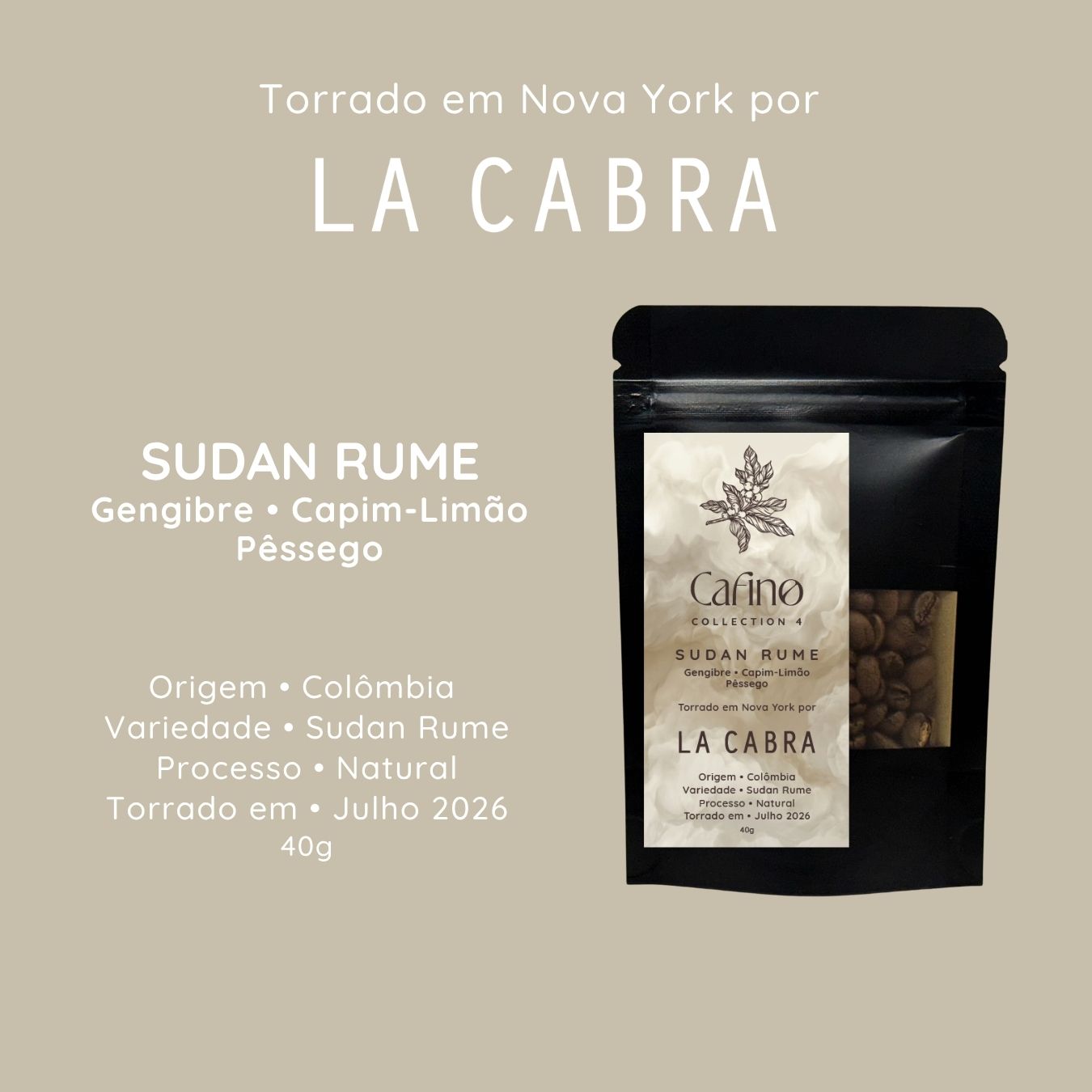 Cafino : Collection 4 : 200g Grãos