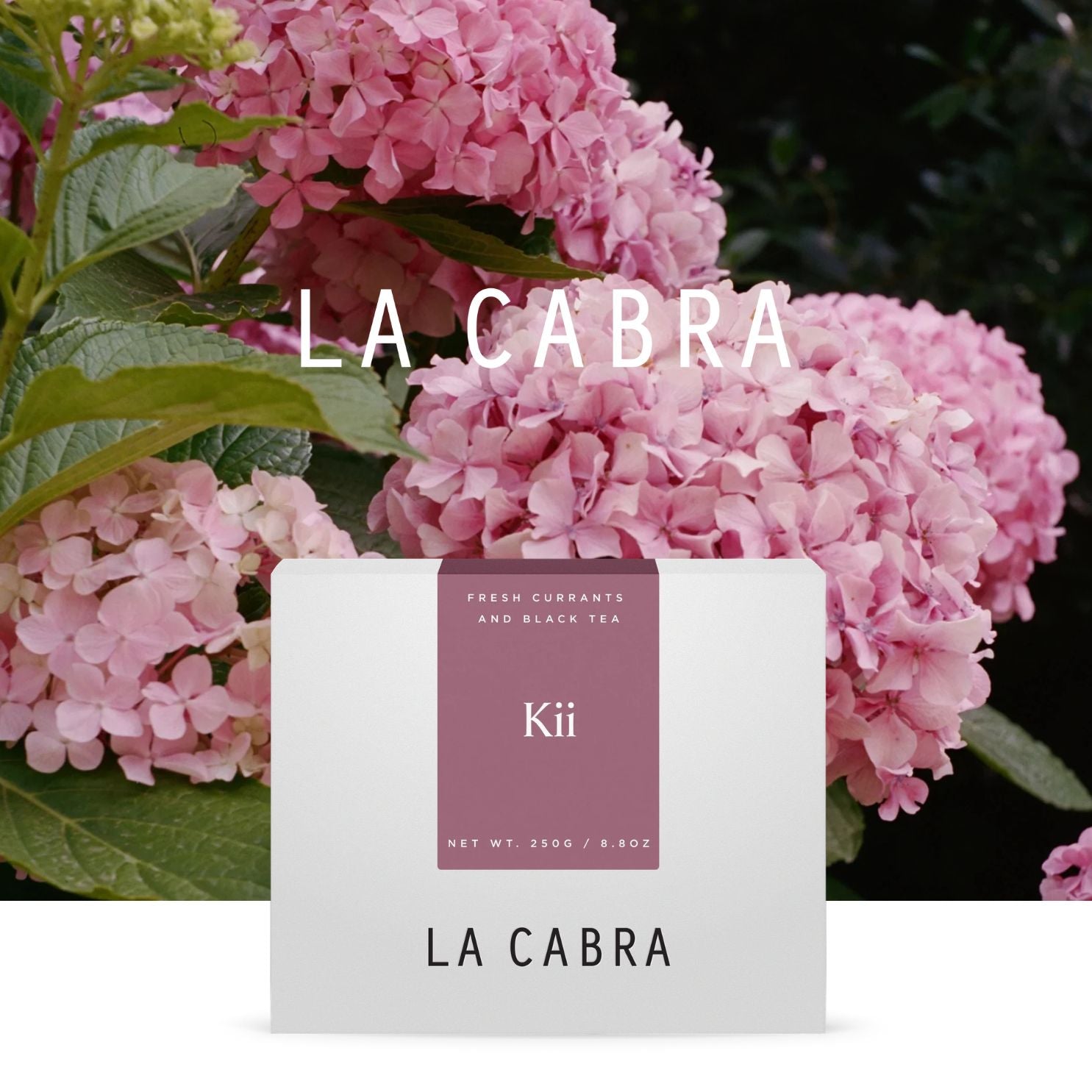 La Cabra : Kii SL28, Ruiru 11, Batian : 250g Grãos