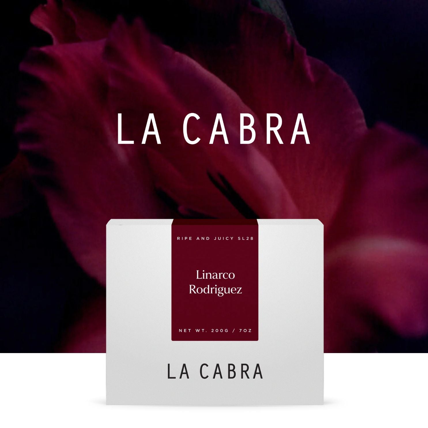La Cabra : Linarco Rodriguez SL28 : 200g Grãos