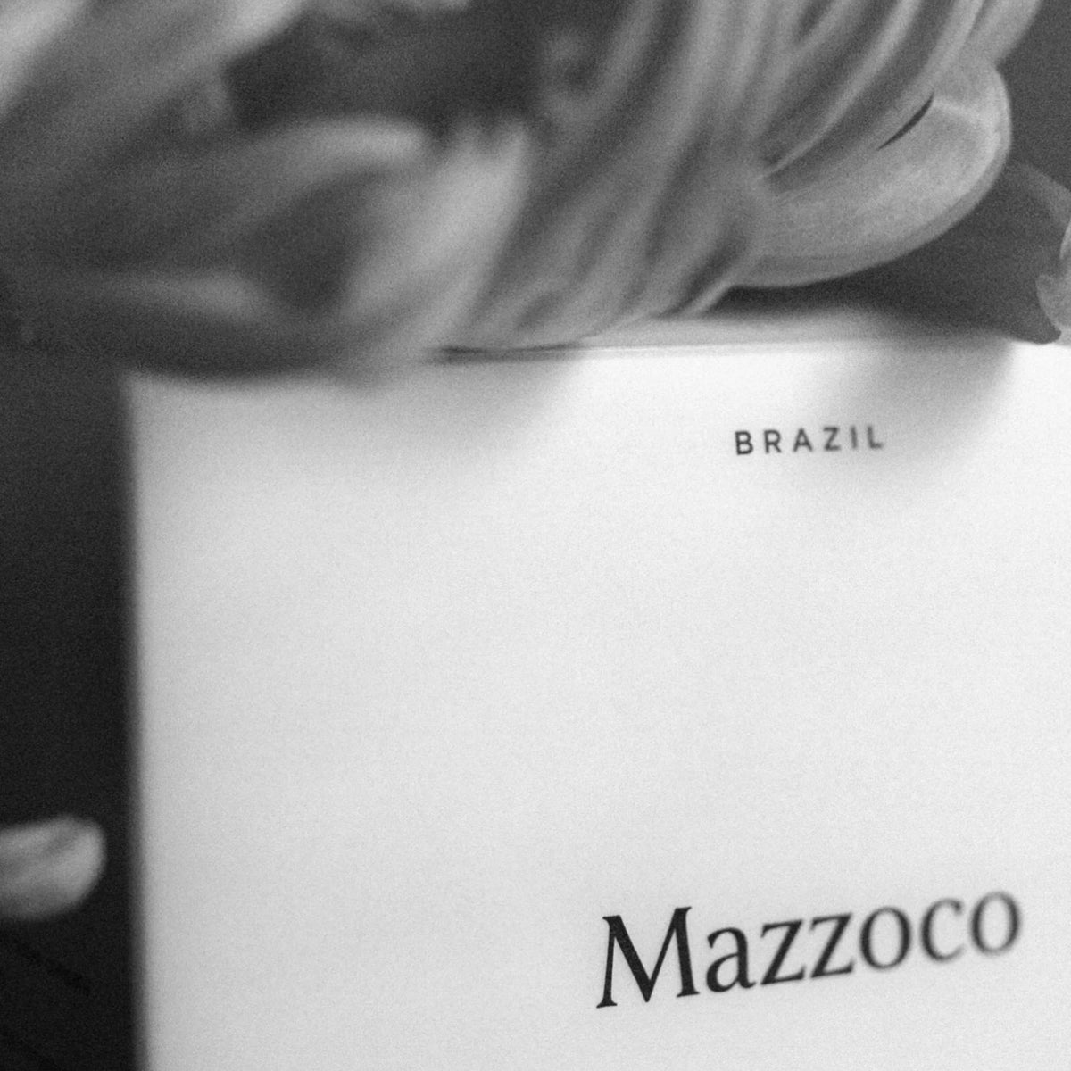 La Cabra : 🇧🇷 Mazzoco : 200g Grãos